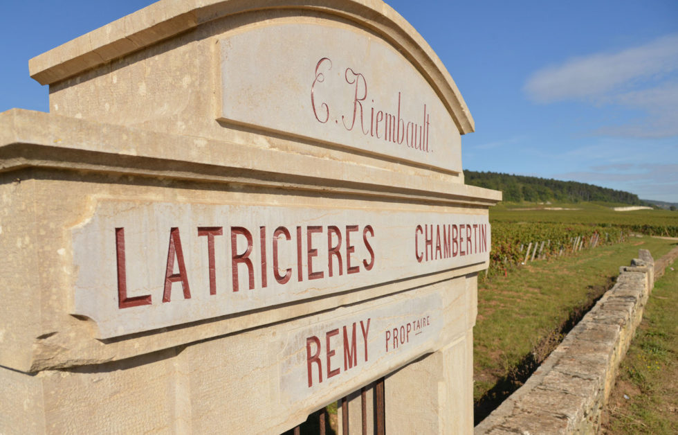 authentica burgundy wine tours